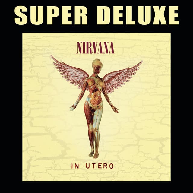 In Utero (Super Deluxe Edition) artwork