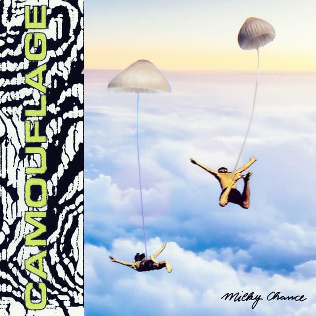 Camouflage artwork