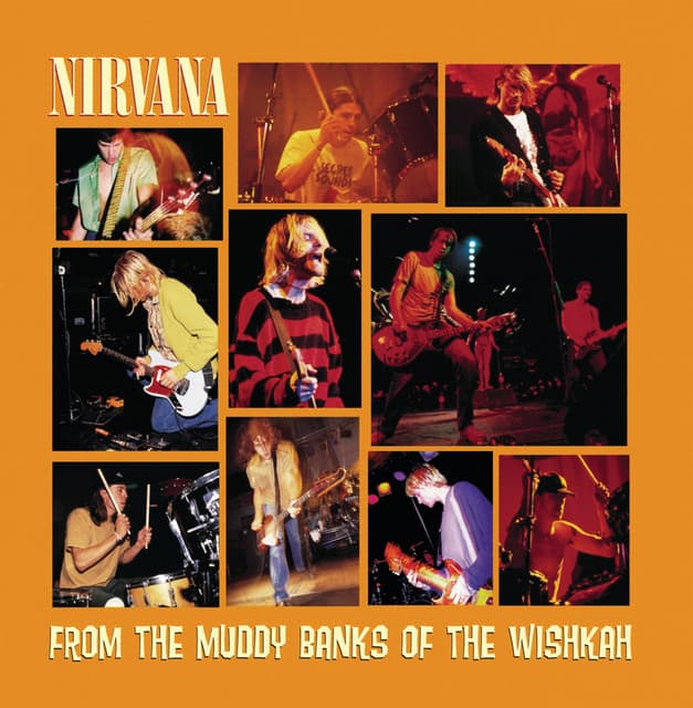 From The Muddy Banks Of The Wishkah (Live) artwork