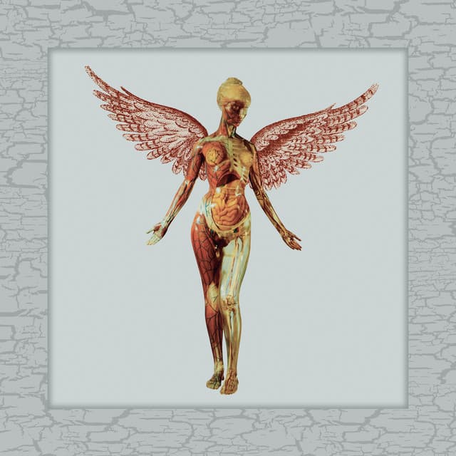 In Utero (30th Anniversary Super Deluxe) artwork