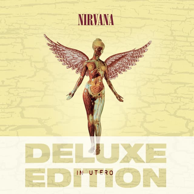 In Utero (Deluxe Edition) artwork